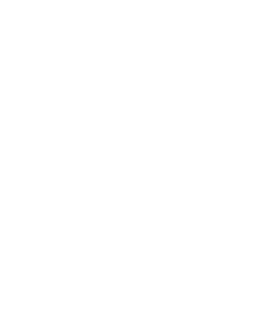 IPT Icon